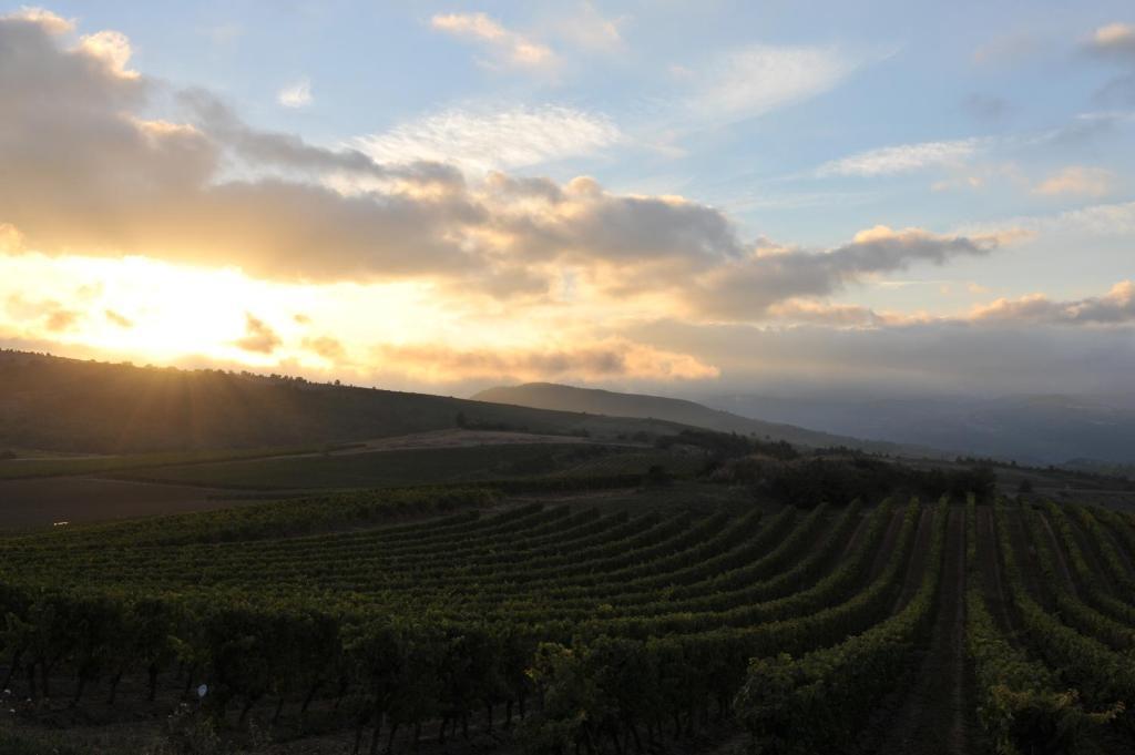 Domaine Bellelauze Ξενοδοχείο Bouriège Δωμάτιο φωτογραφία